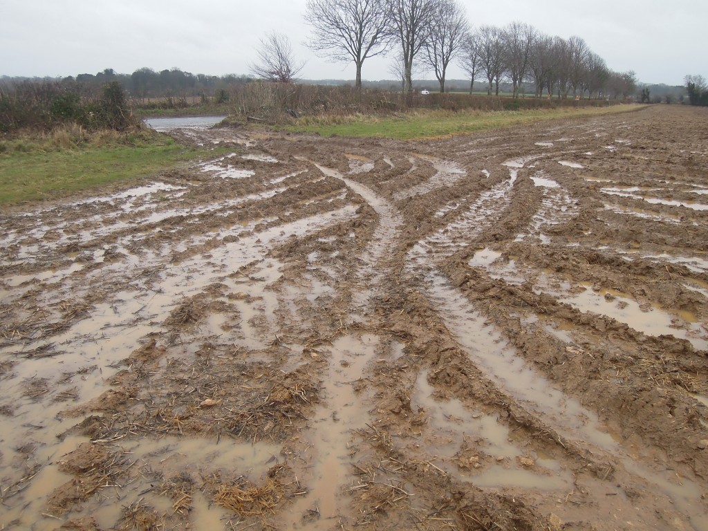 Muddying the Waters Monbiot