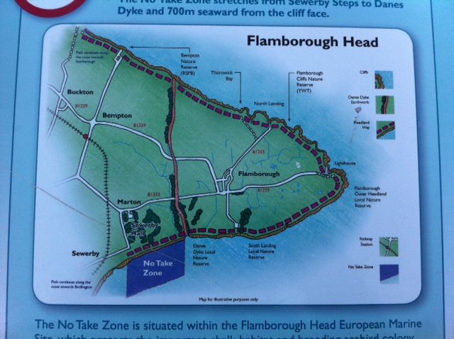 Flamborough Head no take zone